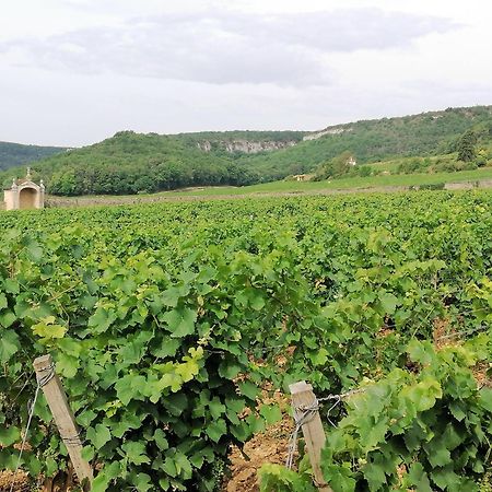Gite Hautes Cotes De Nuits Curtil-Vergy Extérieur photo