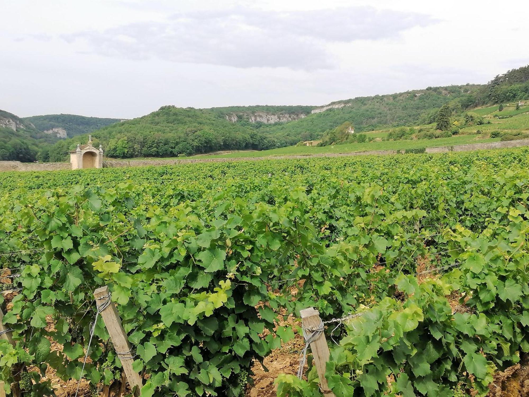 Gite Hautes Cotes De Nuits Curtil-Vergy Extérieur photo